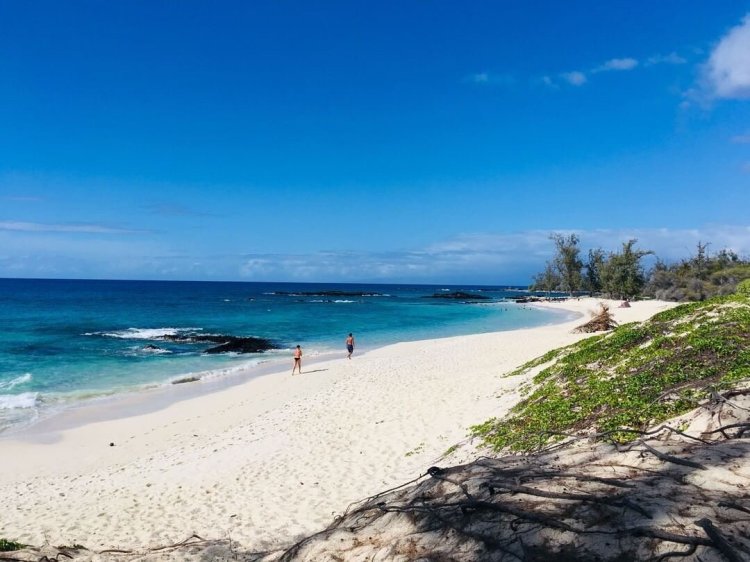 Forget all the stereotypes you've heard about long island. Travel To Hawaii During Covid Updated Sept 13 2021 My Hawaii Hostel