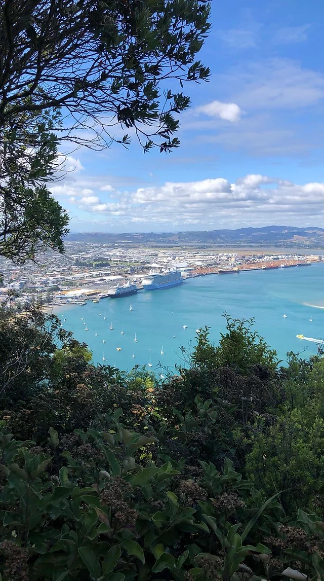 This is the vacation destination you dream of: Home Home