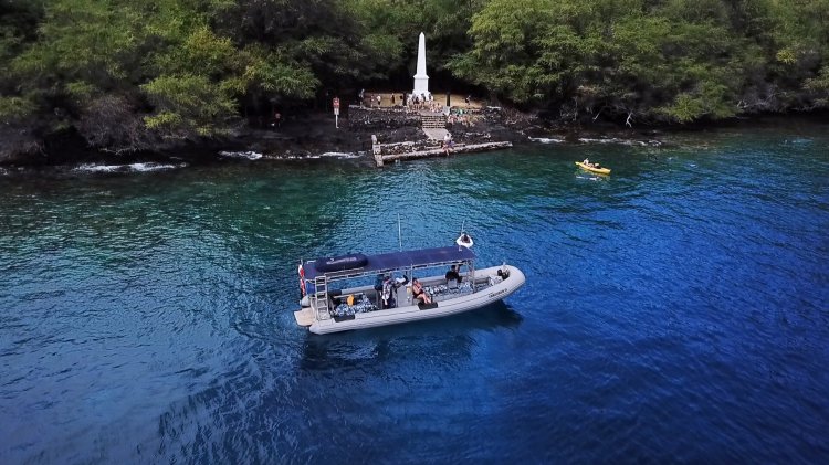 The infamous duck boat tours that were once popular across the nation have all but disappeared after 40 people died aboa. Capt Cook K Bay Snorkel Manta Ray Dives Of Hawaii