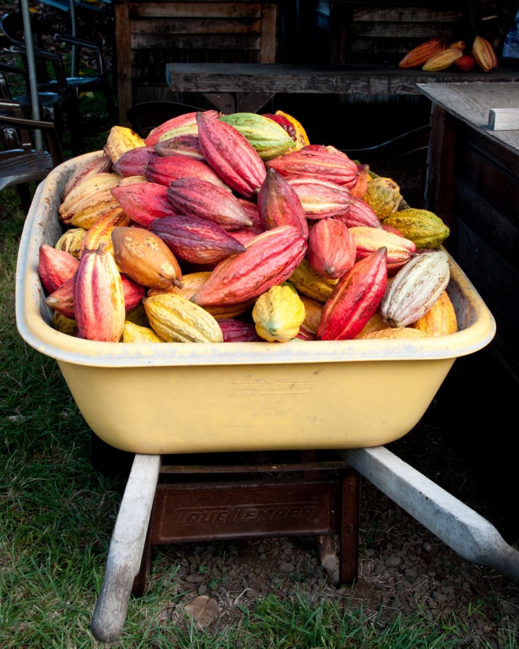 Traveling isn’t just for couples and families. Hawaii S Kona Coast Beckons With A Growing Folksy Fun Food Scene To Savor By April Orcutt Batw Travel Stories Medium