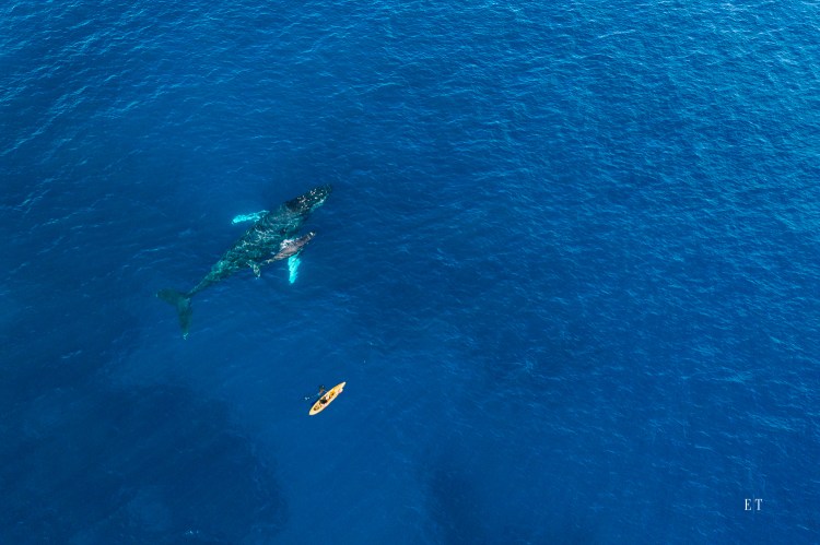 All that’s required on your part is an adventurous spirit! Ethan Tweedie Photography Architecture Interiors Hospitality