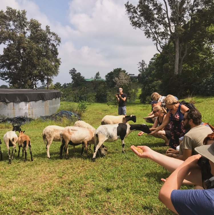 Experience a tour of our highly rated kona coffees and kona teas on a . Tours Tastings Sunshower Farms Kona Coffee Farm And Event Venue
