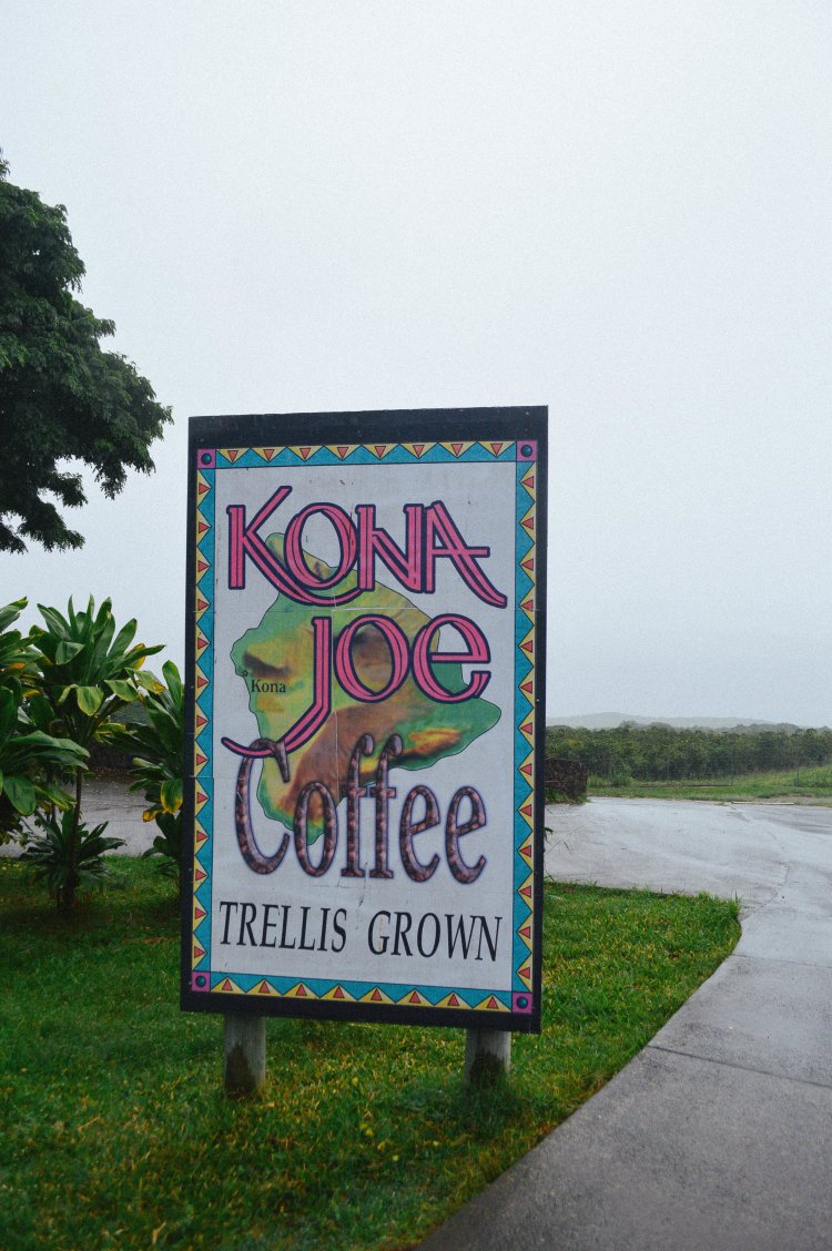 Heavenly hawaiian kona coffee farm · hula daddy kona coffee farm · greenwell farms · kona coffee living history farm · bonus: Kona Joe Coffee Blog Salt Water Vibes