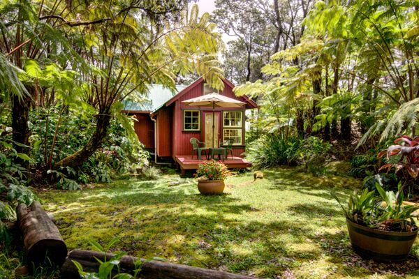 Upcountry maui to the southeastern coast towering over the island of maui and visible from just about any point, haleakala crater is a force of nature in every sense. Ferny Hollow Romantic Rainforest Cottage In Volcano Village Hawaii Volcano Vacations Vacation Rentals
