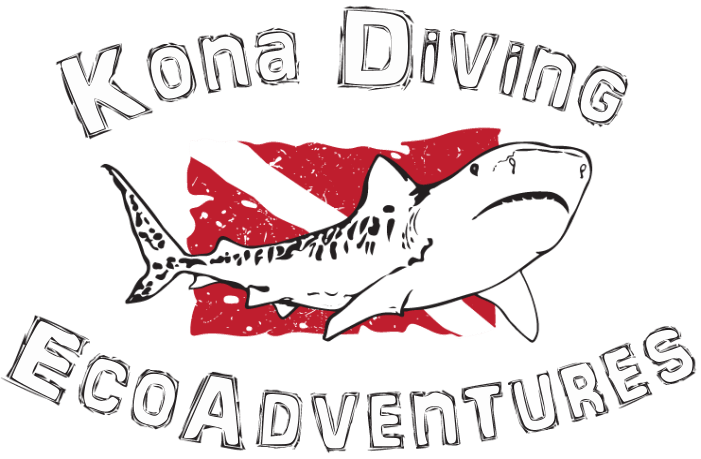 See the rich history of fernandina beach, amelia island and cumberland island as you are immersed in the nature and wildlife that share these barrier islands with us. Kona Diving Ecoadventures