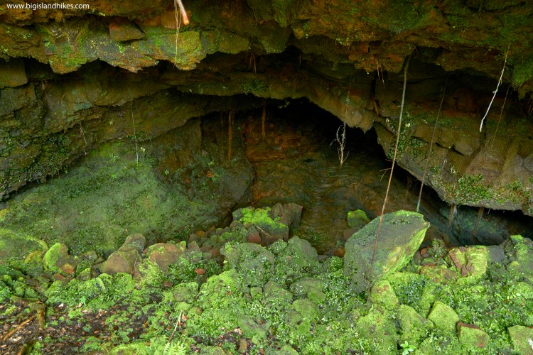 The big island of hawai'i is a dynamic land, where you can find a lava tube on the edge of the island's main city. Hazards Big Island Hikes