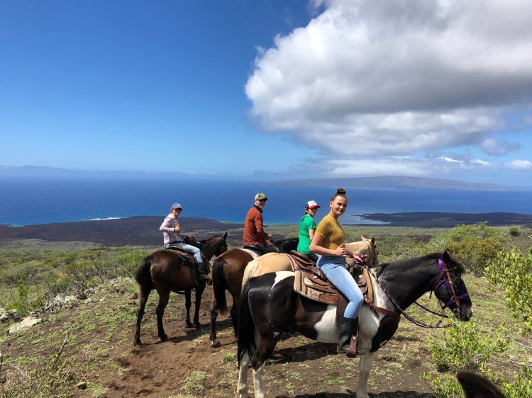 Waipi'o on horseback offers horseback riding tours through the waipi'o valley in hawaii. Horseback Riding Maui