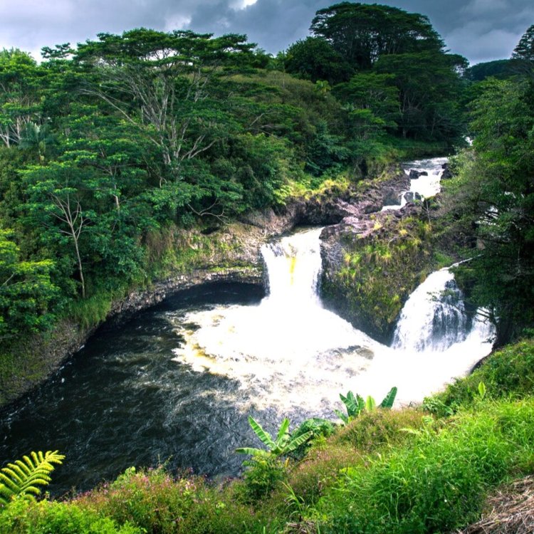 As you seek to tour the galapagos on a budget, you'll discover the phrase enchanted islands, because so muc. Ok Farms