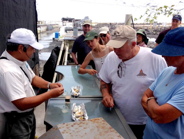 Here's what you need to consider when starting a small farm, from designing it to planning the first year to assessing your land. Big Island Abalone Farm Big Island Abalone
