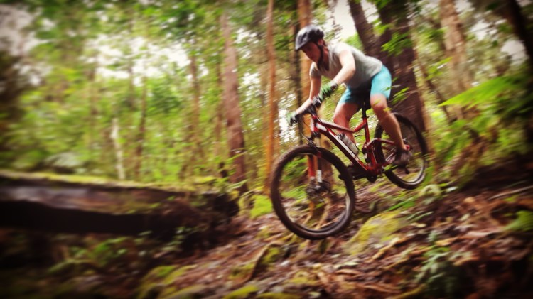 Bike the 23 miles through new zealands wine country. Womenmtb Trail Review Kalopa Trail Hawaii