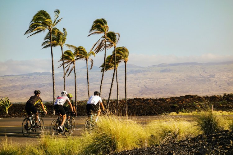 Bike the 23 miles through new zealands wine country. Hawaii The Big Island 2019 2020 Studio Velo