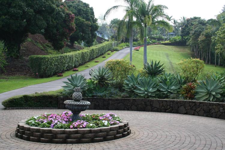 Free tours are conducted daily on demand. Big Island Motorcycle Co Insider Tip Of The Week Free Coffee Farm Tour