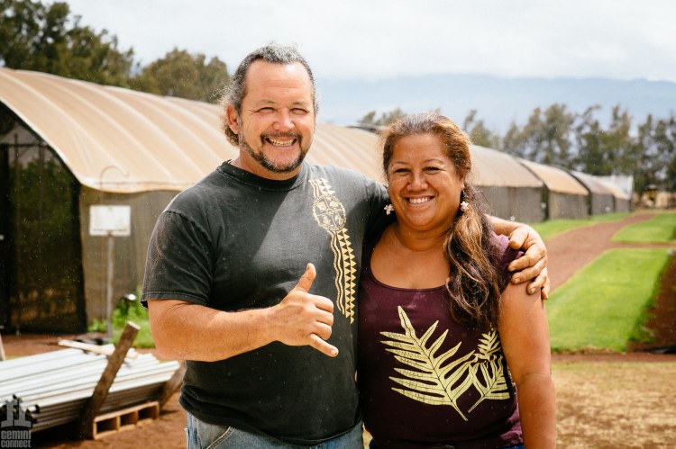 By proceeding, you agree to our privac. Sustainability Profile Wow Farm Gemini Connect