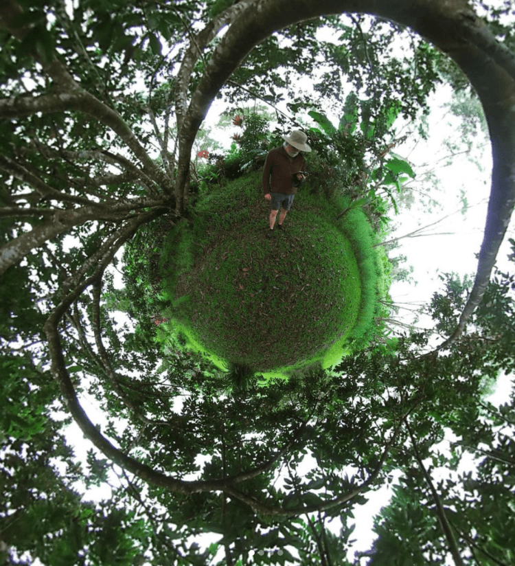 Everyone has to start somewhere, and for the beginner or hobby farmer, starting the process of obtaining farm machinery might be challenging. Tours Big Island Tea