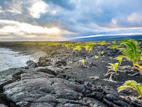 Things to do with kids best beaches top hikes best restaurants nightlife on hawaii island best time to visit weather & clim. Daytrips From Volcano Hawaii Volcano Vacations Vacation Rentals