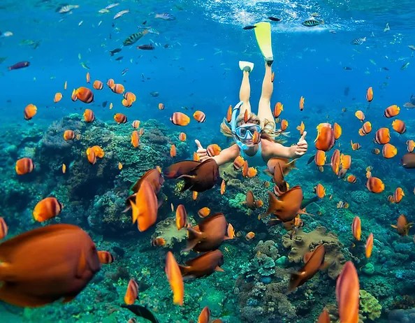 Just past the point is captain cook's monument. The Best Kona Snorkel Tours Kona Boat Tours