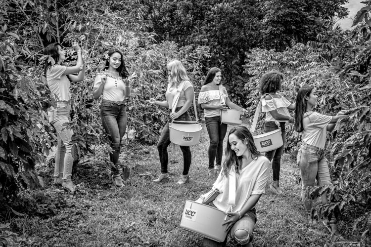 Long island christmas tree farms. Miss Kona Coffee Contestants 2019 Emotion Galleries Professional Hawaii Photography