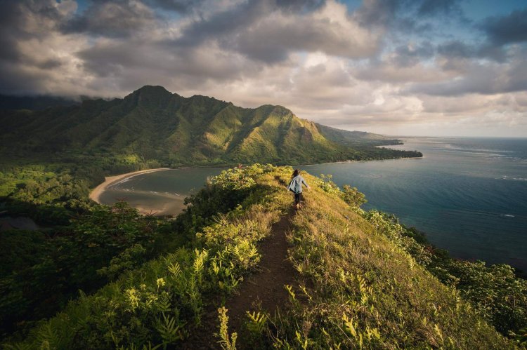 Here's when you'll find both of the above. Best Time To Visit Hawaii This Life Of Travel