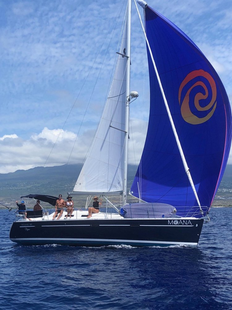 On our guided tour of hawaii, set foot on the shores of oahu, sip local coffee near historic craters in kona, and discover maui's colorful ocean life. Hawaii Sail Charters Kona Sailing Tours Sunset Sail Snorkeling Adventures Activities Kona Sailing Tours Hawaii Sail Charters