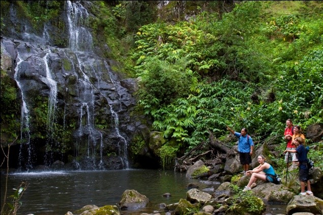 $6.95 million this caribbean retreat was built. Optional Excursions Big Island Eduvets Com