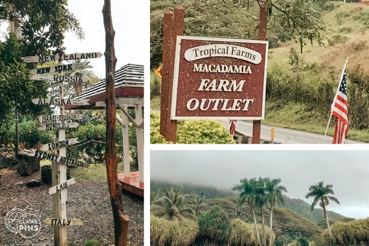 Tours and tickets by roberts hawaii. Roberts Hawaii Tour Review Oahu Grand Circle Island Day Trip