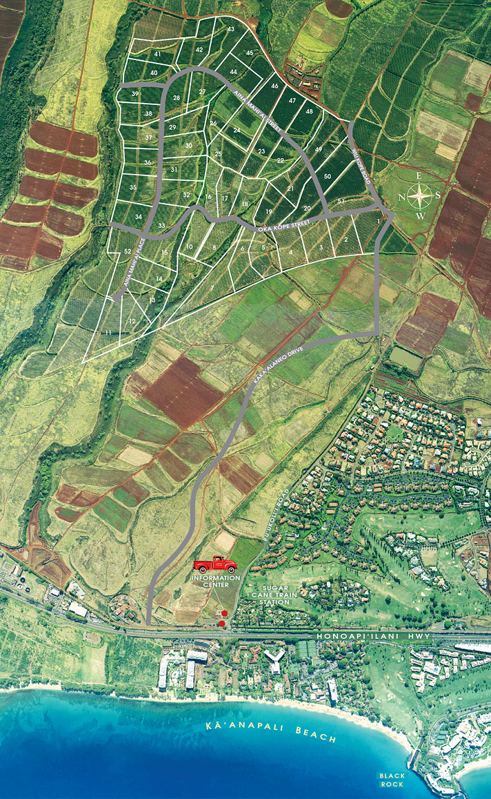 The major markets for ethiopian coffee are the eu (about half of exports), east asia (about a quarter) and north america. Ka Anapali Area Map Ka Anapali Coffee Farms