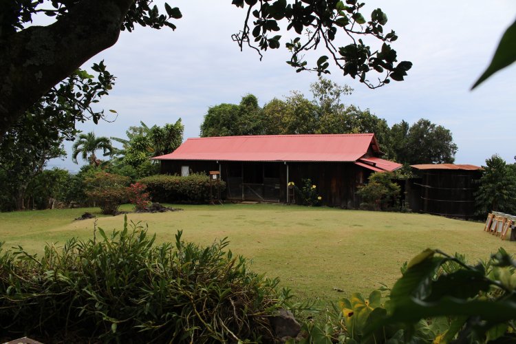 Dec 05, 2021 · here is the list of some of the best coffee in the world. Kona Coffee Living History Farm Kona Historical Society
