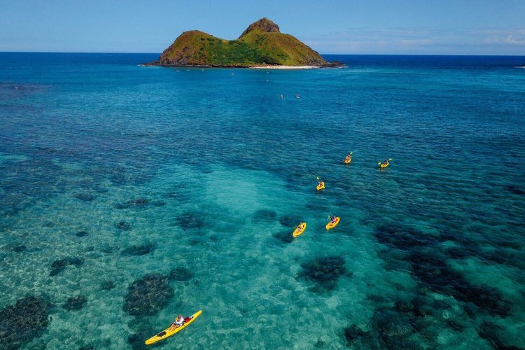 Picture This driving tour around the easternmost part of the north island has some of the most stunning coastal scenery in new zealand. Kailua Kayak Tours Kailua Beach Adventures