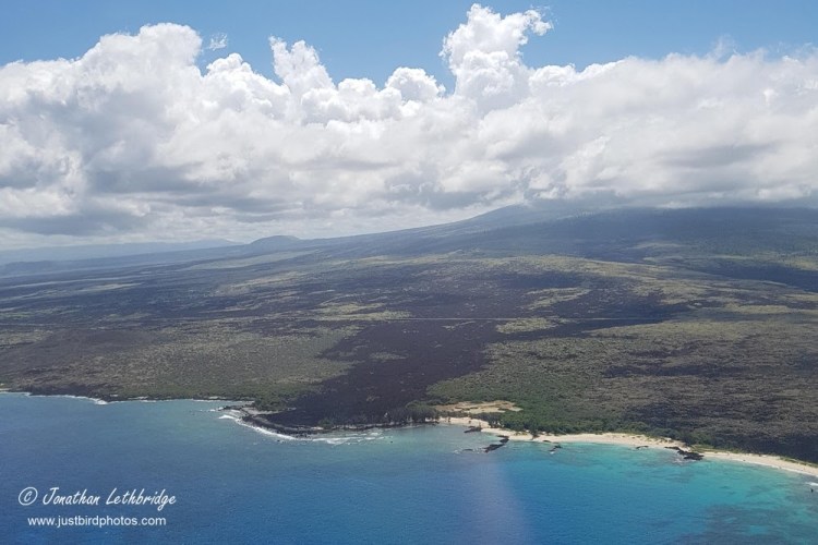 After all of the hustle and bustle leading up to christmas the last thing many people want to worry about is cooking on the big day. Hawaii Big Island Trip Report Wanstead Birder
