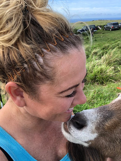 It is also the wettest city in the united states (no, it's really not seattle as many people may believe). Big Island Farm Sanctuary Big Island Hawaii Animal Sanctuary