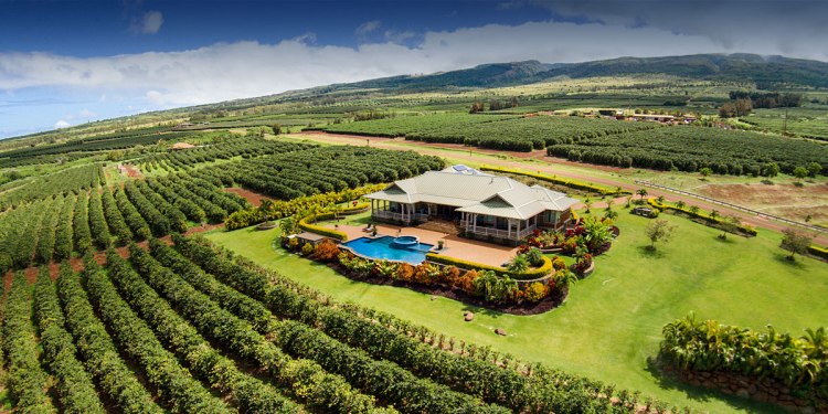 Don't forget to stop at greenwell farms · 2. Ka Anapali Coffee Farms Real Estate Lots In Maui Hawaii