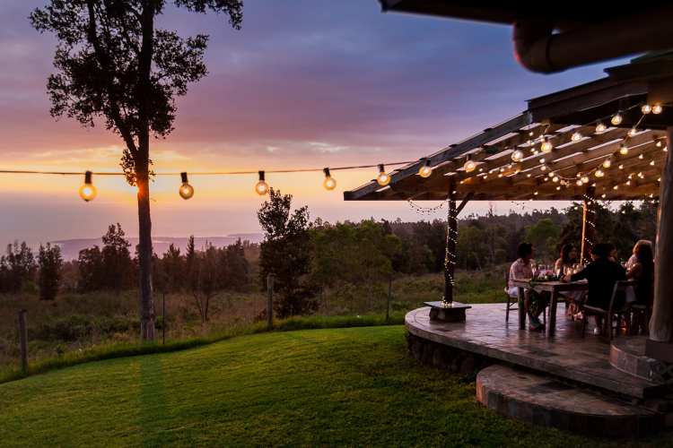 Kona peaberry coffee, mamaki tea, . Events Sunshower Farms Kona Coffee Farm And Event Venue