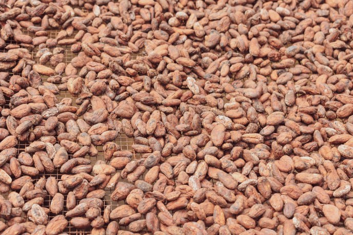 Tour the galapagos on a budget by finding a variety of tours and price levels. Best Chocolate Farm Tour On The Big Island Hawaii Forever Lost In Travel